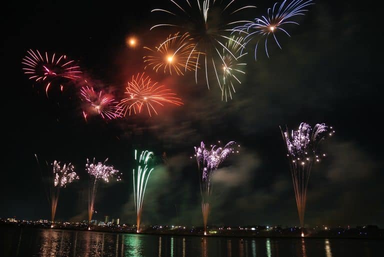 Holiday Fireworks – helping your pet cope