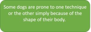Shape Of Body