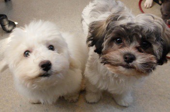 P1060927