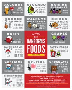 Dangerousfoods 16X20 Poster