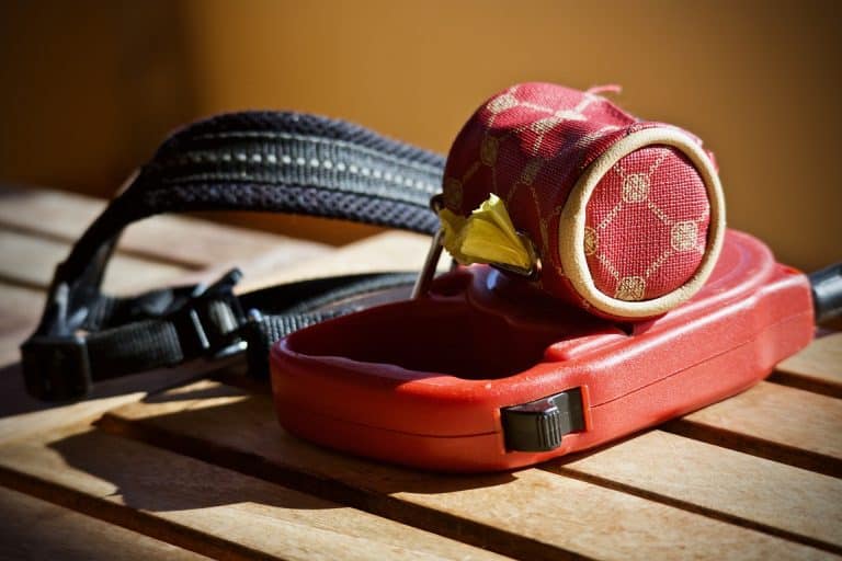 What is training equipment? Common misconceptions about dog training tools