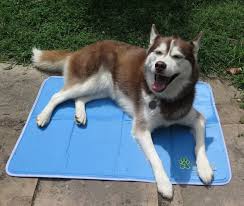 The Green Shop Pet Cooling Mat: Product Review