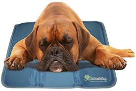 Pet Pad