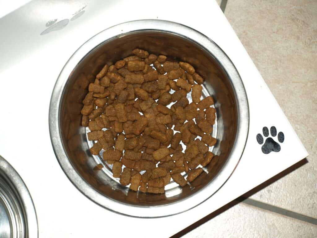 Bowl 429231 1920