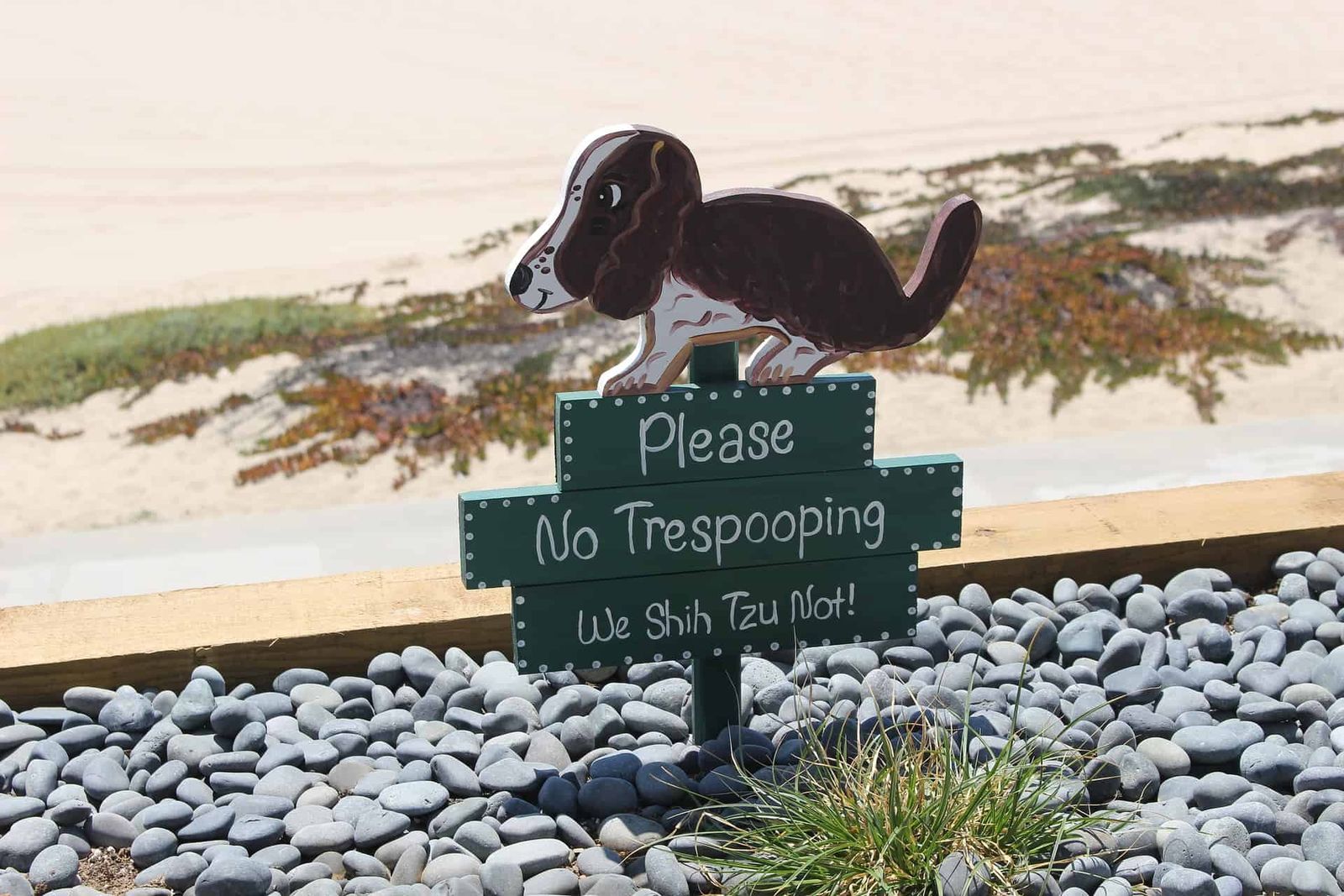 Dog 1720673 1920 1