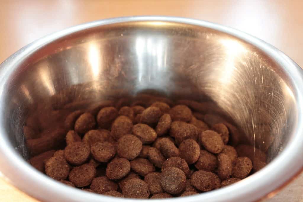 Food Bowl 281978 1920 1