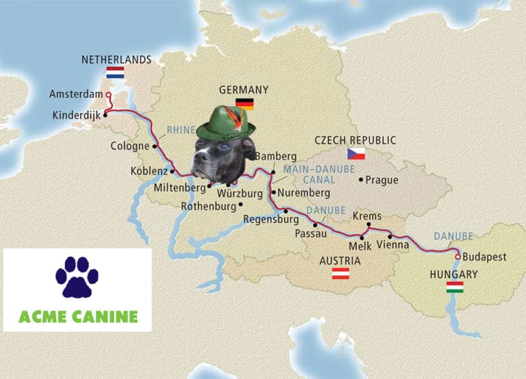 Dogs of Bavarian Germany