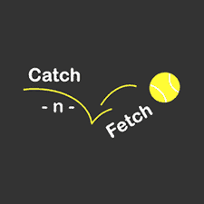 Catch N Fetch Doggie Daycare Review