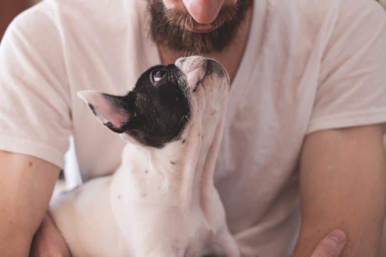 Praising your dog shouldn’t be hard