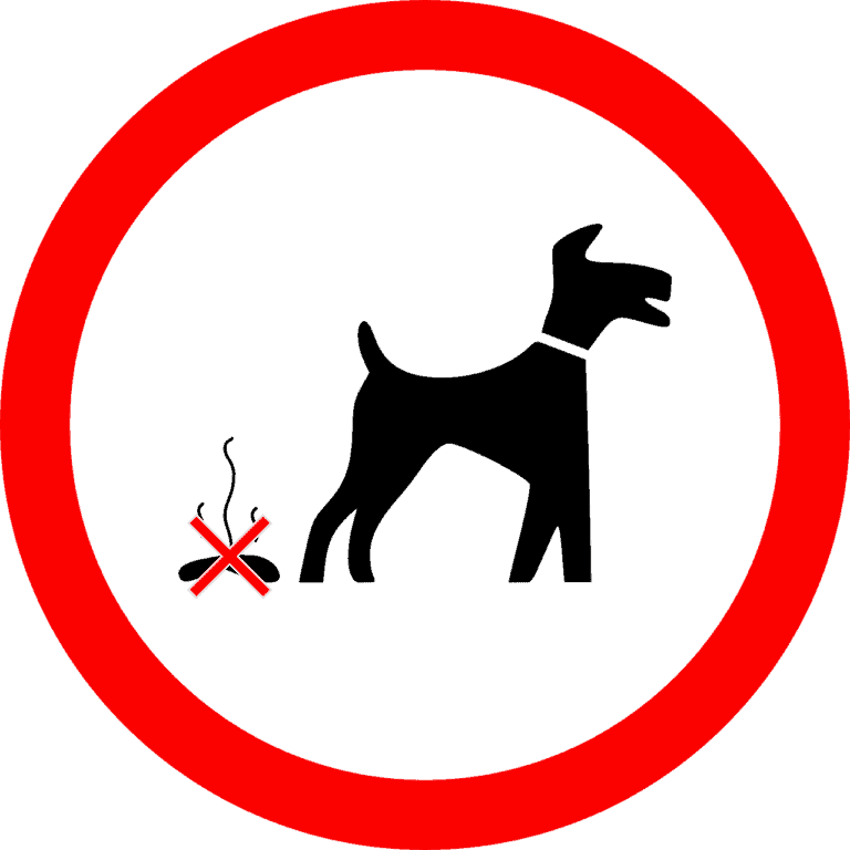 5 Effective Tools To Pick Up Dog Waste