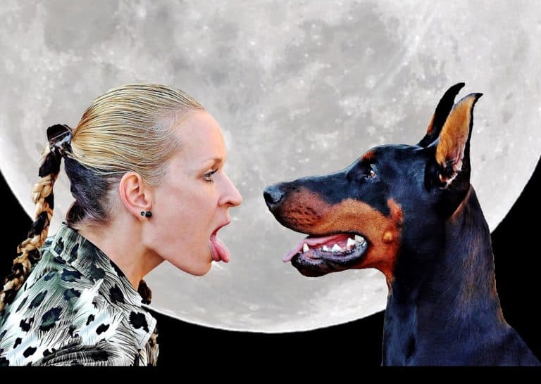 Understanding the Secret Language of Dogs:  Why learn dog language