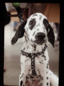 Brian Patrick Tagalog 769231 Unsplash