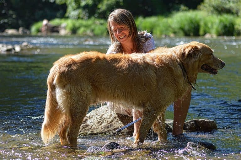 Grooming your dog is essential so why not use good products to help you