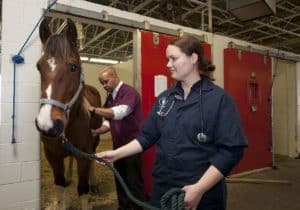 Veterinarians 739365 1280