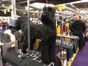 Img 7880