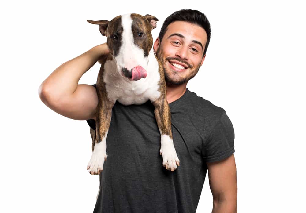 No Bs1Shutterstock 458892613