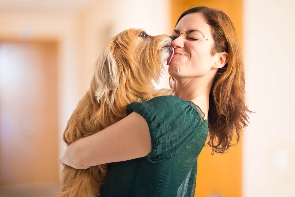 No Bsshutterstock 295906826