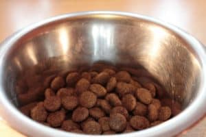 Food Bowl 281978 1920