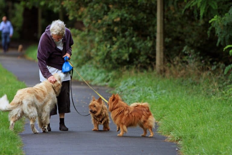 How Dog Walking Injuries Are Increasing Among Older Adults