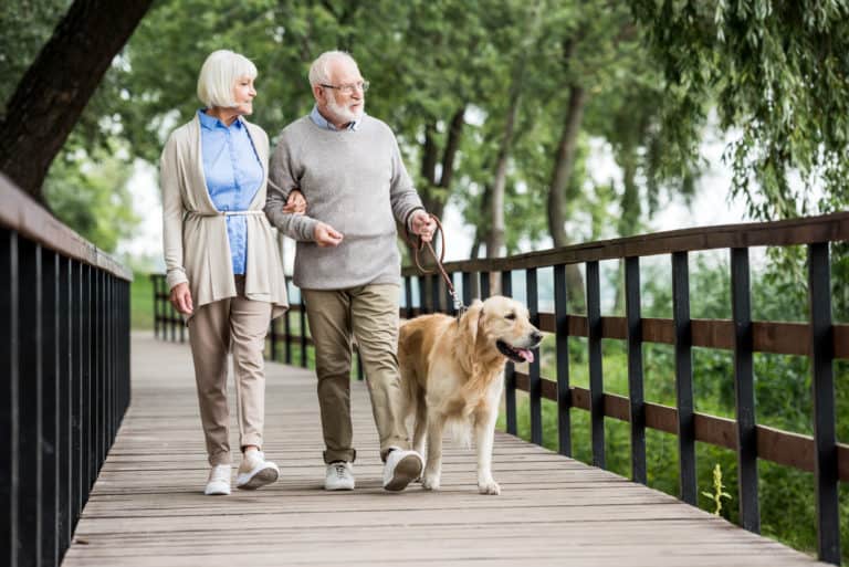 How To Make Dog Walking Easier For You