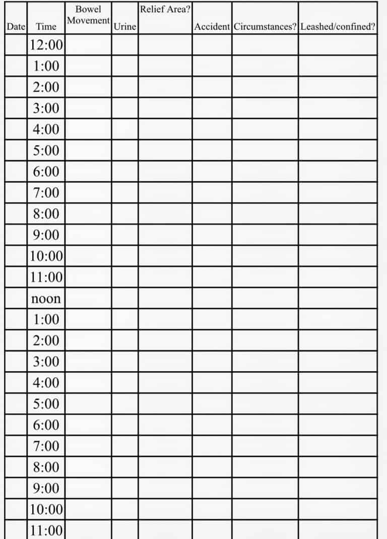 Housetraining Schedule for Dogs
