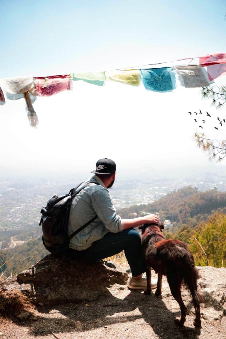7 Things to Keep in Mind While Traveling with Your Dog