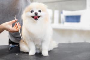 Adobestock 324457777