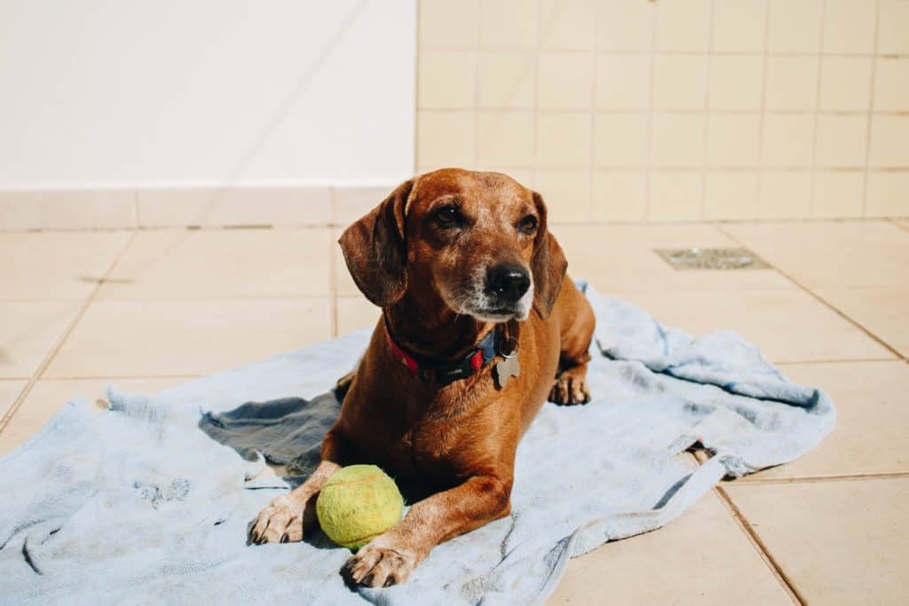 Isabela Kronemberger Wpd Om9Zrt0 Unsplash
