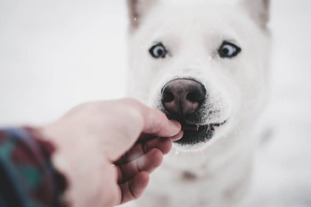 Marek Szturc Gokbcmdoi6I Unsplash
