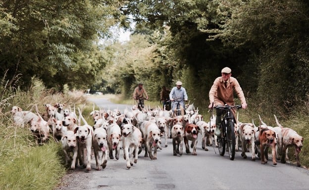 7 Dog Breeds That Are Perfect for Families