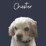 Chester Portrait