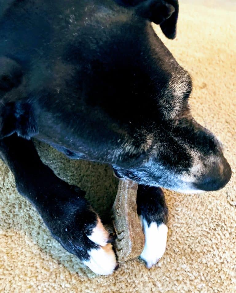 Pawstruck Bully Sticks