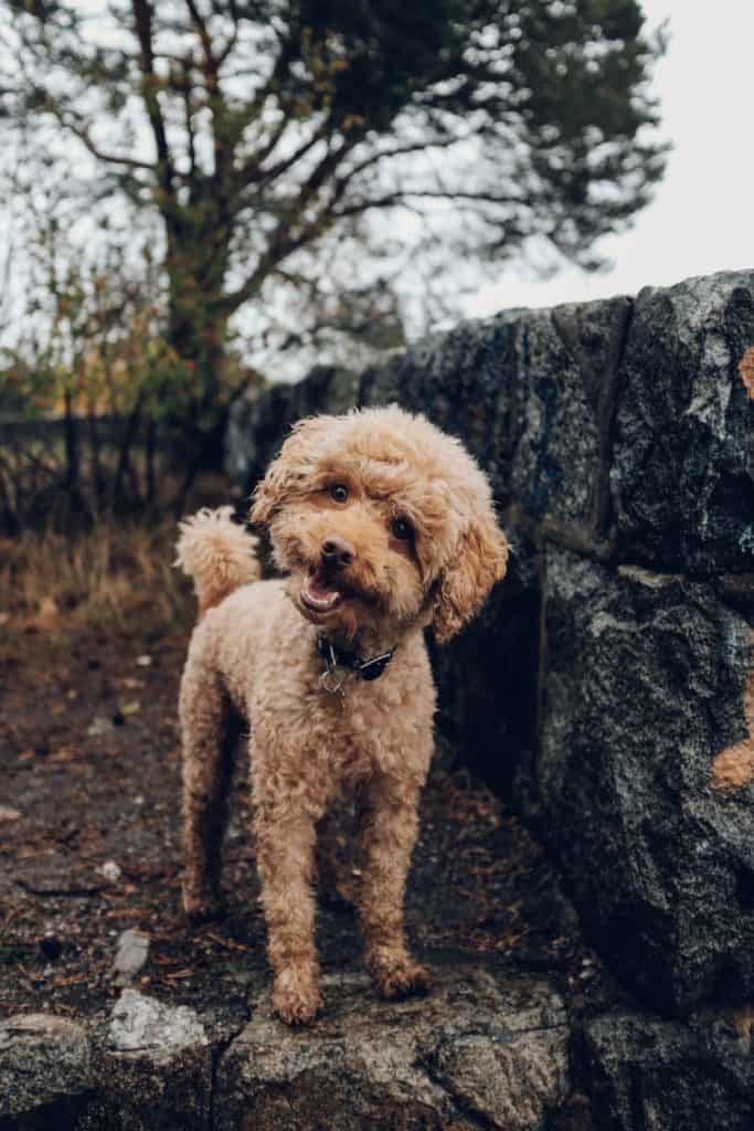 Fredrik Ohlander Tgbrqw52Thw Unsplash