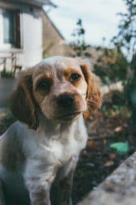 Tobias Tullius L Eruaf4Oaq Unsplash