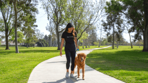 Website Banner Image 5