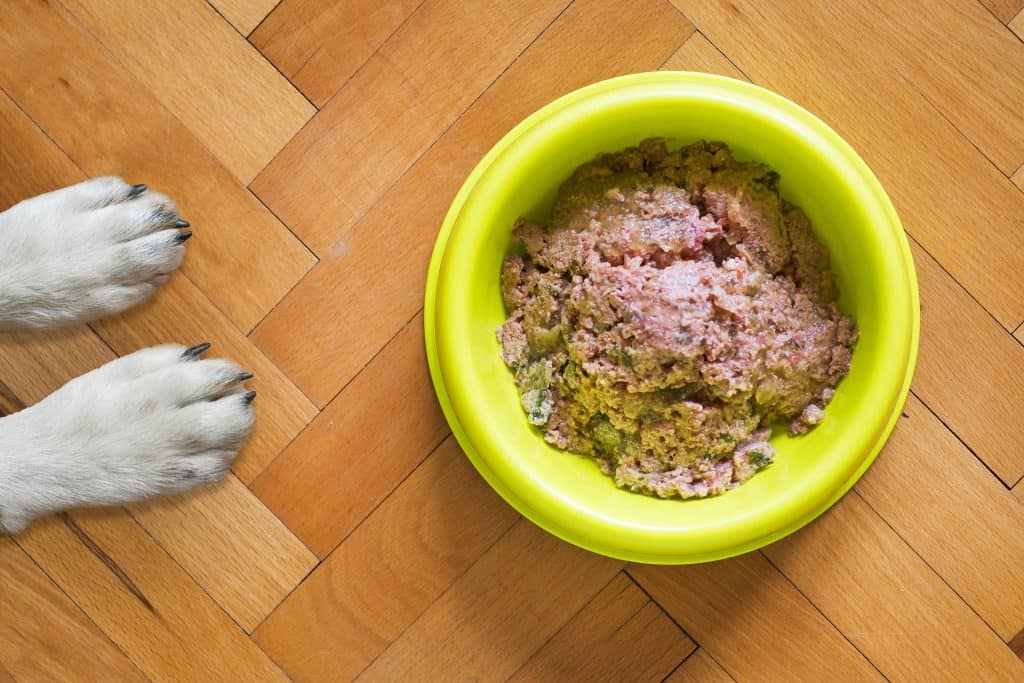Dog Food 5175604 1920