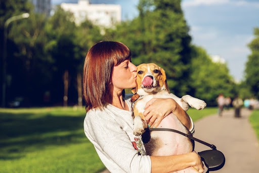 Four Advantages For Kids Who Grow Up With Dogs