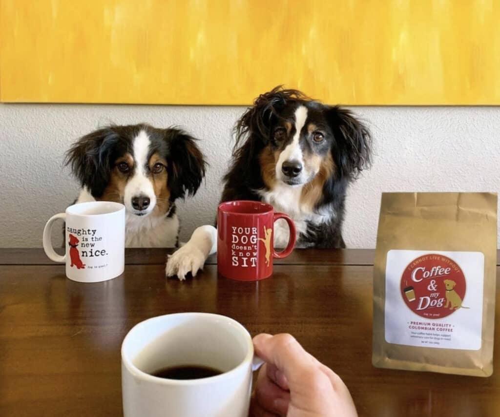 Coffee Lily Aussie