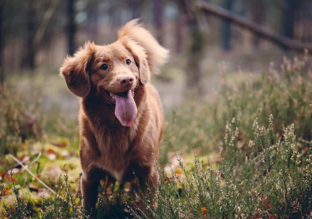 Jamie Street 0Nk6Xzp7 1E Unsplash 1