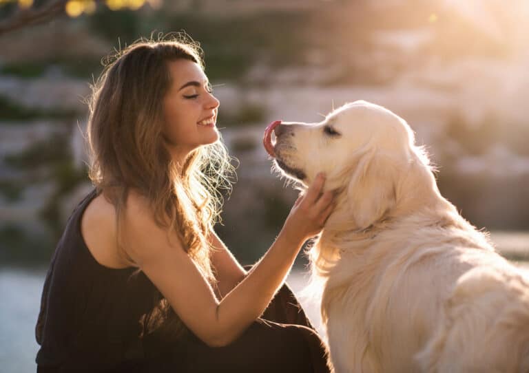 Dog Behaviors That Express If They Are Comfortable