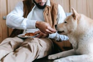 Dog2