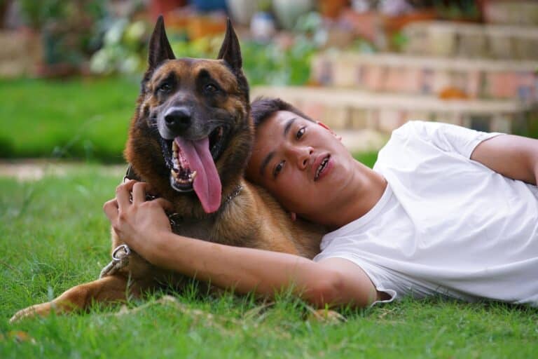 How to Get an Emotional Support Animal Letter