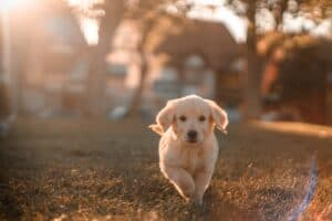 Cristian Castillo 73Pyv0Jjome Unsplash