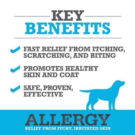 Benefits of WINPRO Allergy