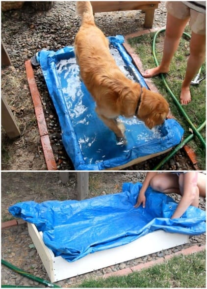 make a DIY dog pool