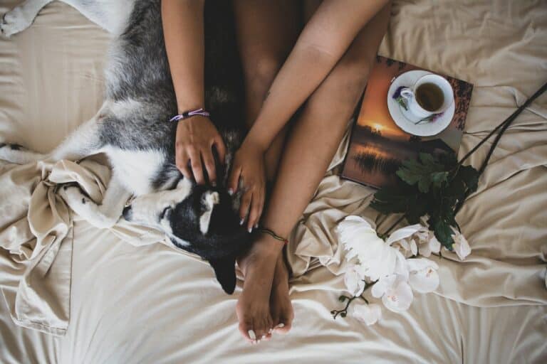 why does dog sleep my feet featured image
