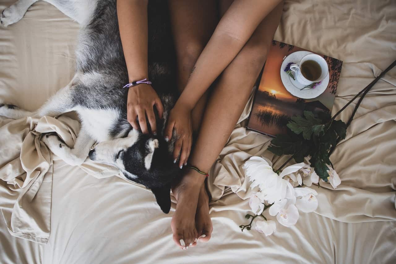why does dog sleep my feet featured image