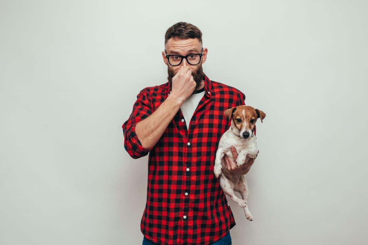 How to Get Rid of Dog Gland Smell