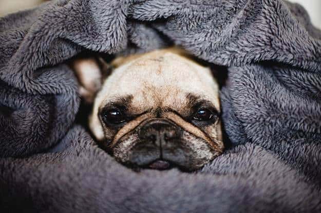 Swaddling