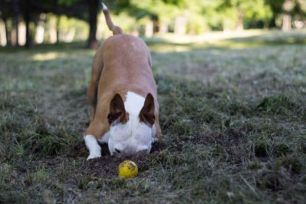 Burying Treasure